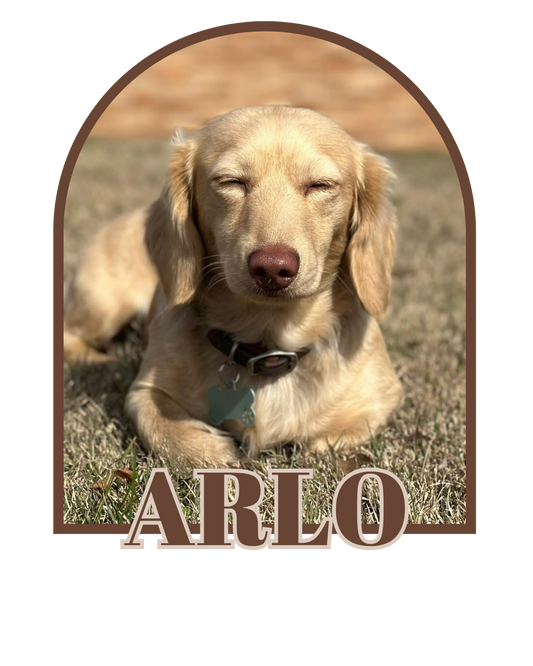Arlo (Sire)
