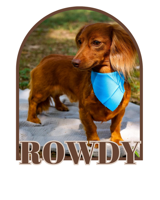 Rowdy (Sire)