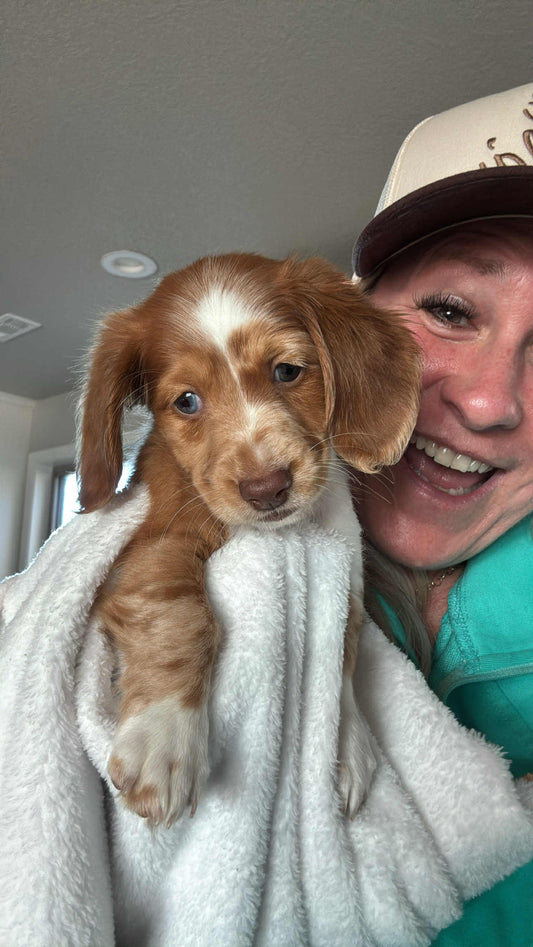 Reba